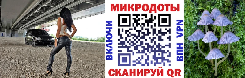 Купить закладки  Протвино  Галлюциногенные грибы прущие грибы 